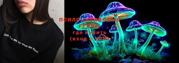 молекула духа Баксан