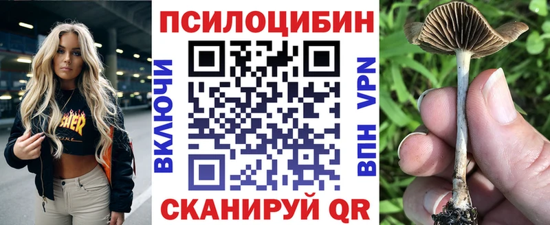как найти закладки  omg как зайти  Псилоцибиновые грибы ЛСД  Шагонар 
