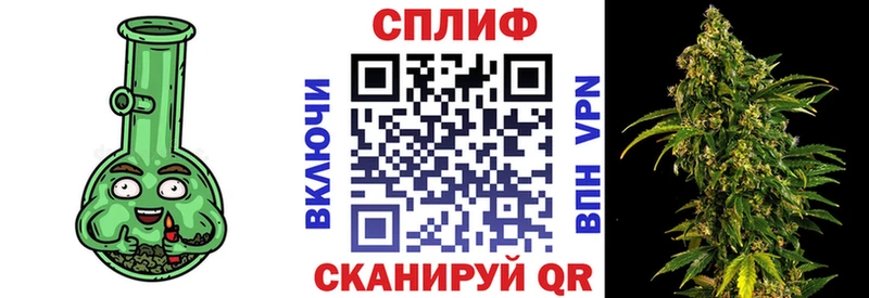 Бошки Шишки Amnesia  Шагонар 